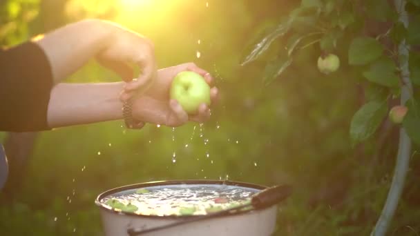 Close-up van een man die een appel wast onder een waterstroom in de tuin op een wazige achtergrond — Stockvideo