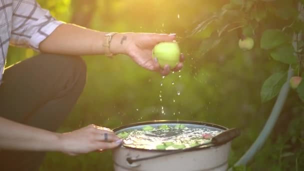 Close-up van een vrouw die een appel wast onder een waterstroom in de tuin op een wazige achtergrond — Stockvideo