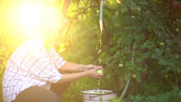 Close-up de uma mulher lavando uma maçã sob uma corrente de água no jardim em um fundo embaçado — Vídeo de Stock