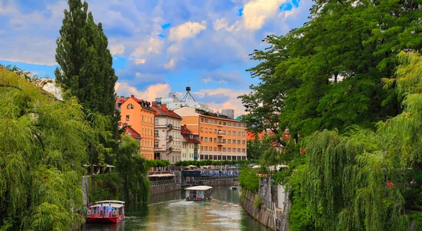 Ljubljana Eslovenia Junio 2014 Liubliana Eslovenia Centro Ciudad Vista Río — Foto de Stock