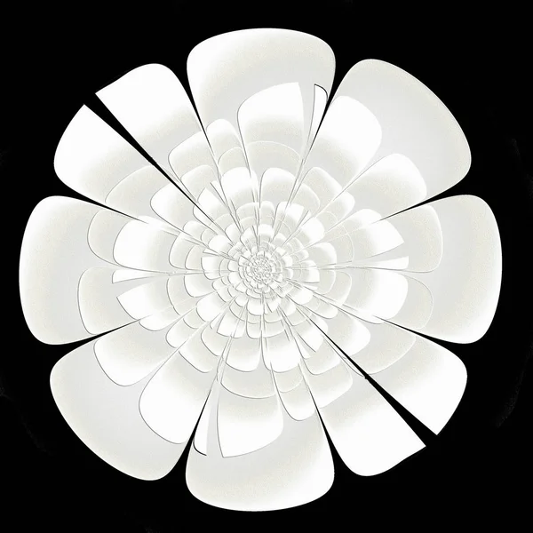 Schöne Weiße Blume Mit Prägeeffekt Fraktalen Design Auf Schwarzem Hintergrund — Stockfoto