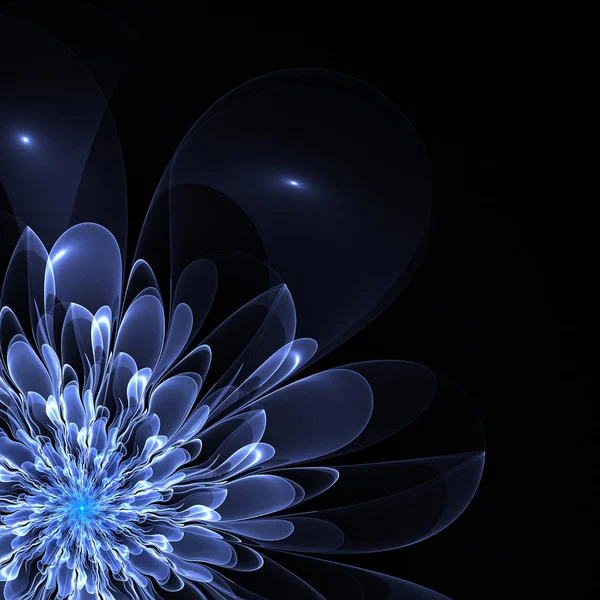 Beautiful blue flower in fractal design. Artwork for creative design, art and entertainment.