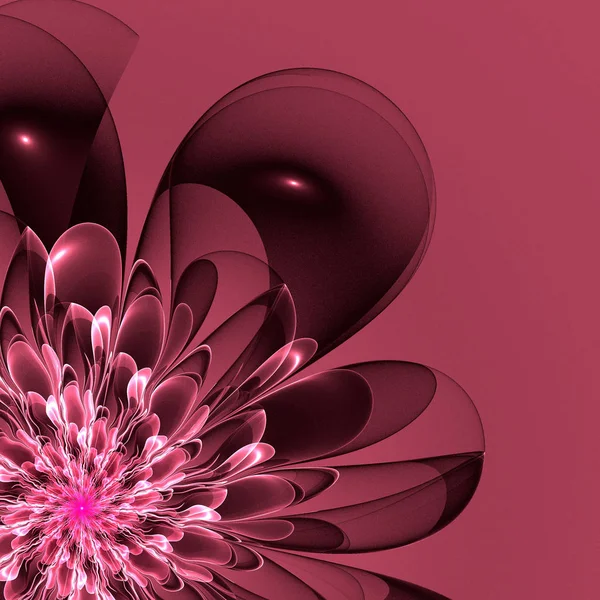 Beautiful pink flower in fractal design. Artwork for creative design, art and entertainment.