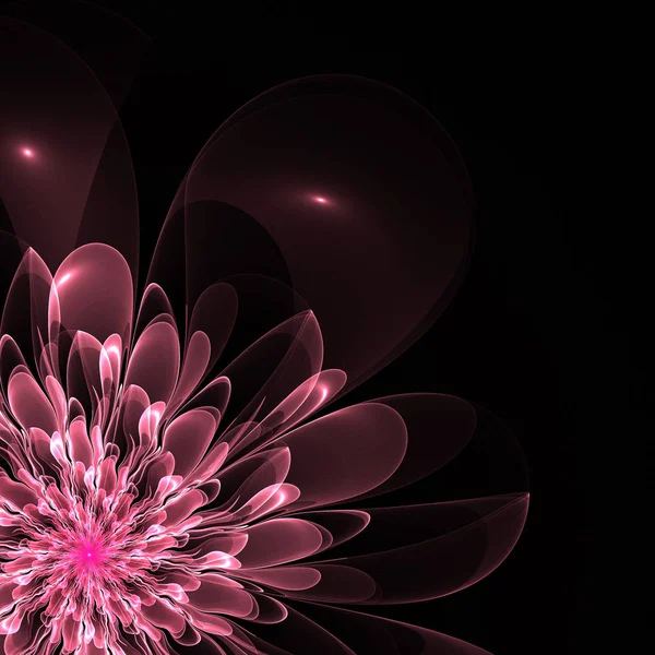 Vacker Rosa Blomma Fractal Design Konstverk För Kreativ Design Konst — Stockfoto