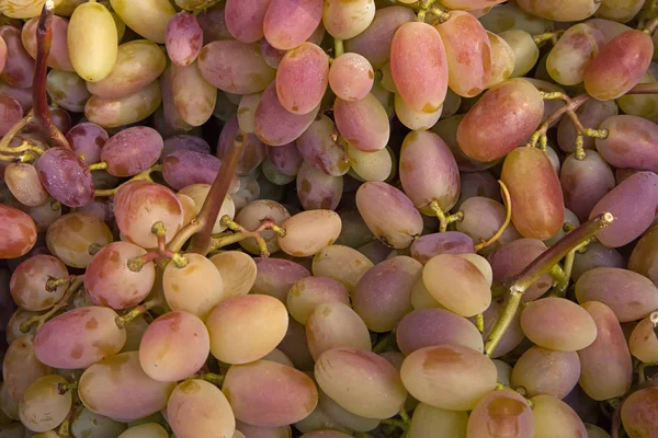 Vers Geplukt Van Roos Druiven Smakelijke Achtergrond — Stockfoto