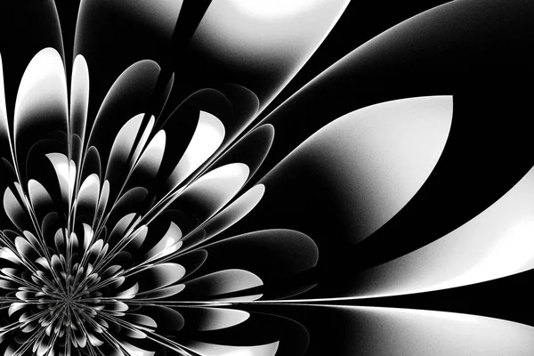 Hermosa Flor Blanco Negro Diseño Fractal Obras Arte Para Diseño — Foto de Stock