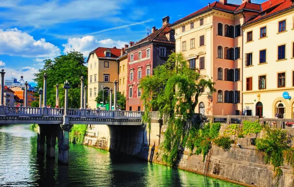 Ljubljana Slowenien Juni 2014 Altstadtdamm Ljubljana Ljubljana Ist Das Geschäftliche — Stockfoto