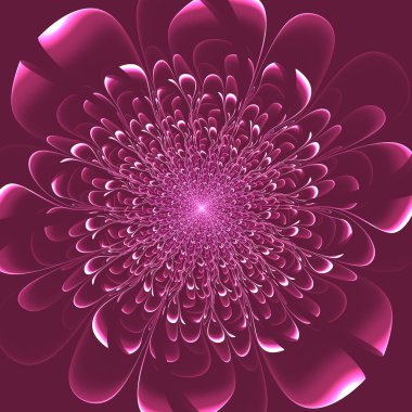 Mor arka plan üzerinde güzel pembe çiçek. Yaratıcı tasarım, sanat ve eğlence için resimler. 