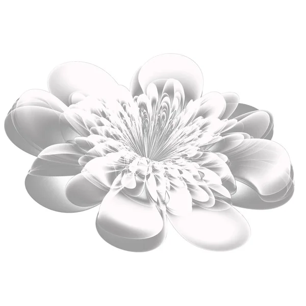 Beautiful White Flower Embossed Effect Fractal Design White Background Artwork — Stock Photo, Image