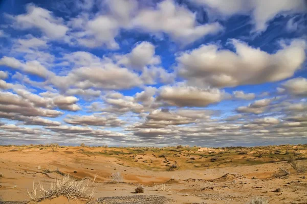 卡拉库姆沙漠在春天。中亚的景观 — 图库照片