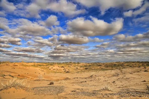 Karakum desert at sunset. The landscape of the Central Asian des — Stock Photo, Image