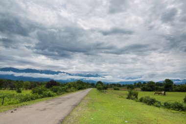 bulutlu gökyüzü altında dağlara giderken alanlar arasında kırık asfalt yol