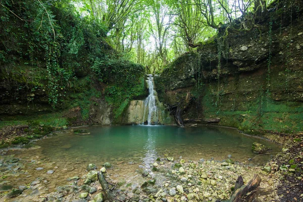 Abhazya ormanda şimşir şelale