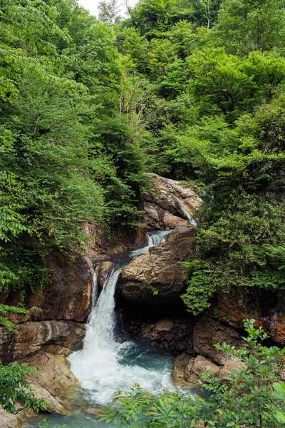 Wasserfall Dschungel Fließt Einen Gebirgsfluss — Stockfoto