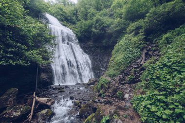 geniş şelale Irina Abhazya ormandaki