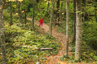 küçük kız ormanda gidiş izinde bir kırmızı kostümlü stamd