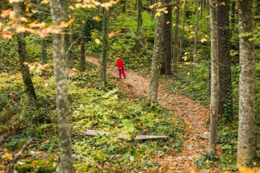 küçük kız ormanda gidiş izinde bir kırmızı kostümlü stamd
