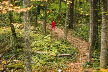 küçük kız ormanda gidiş izinde bir kırmızı kostümlü stamd