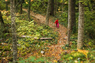 Kırmızı elbiseli kız sonbahar orman ile iz üzerinde olduğunu