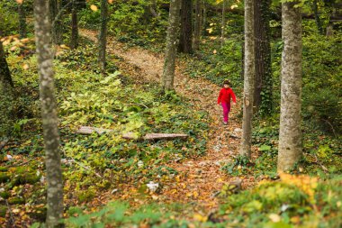 Kırmızı elbiseli küçük kız ormana izinde olduğunu