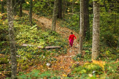 Kırmızı elbiseli kız orman yoluyla yolda olduğunu