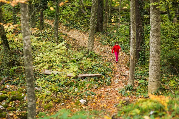 Kırmızı elbiseli küçük kız ormana izinde olduğunu