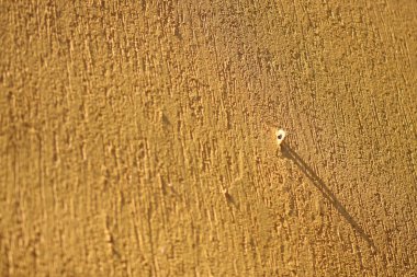 sarı duvar doku gölgeler