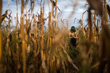 Mısır bir kulak tutarak kurutulmuş Mısır tarlasında üzerinde başında siyah bir bezle yüzü olmayan tam uzunlukta bir kız portresi