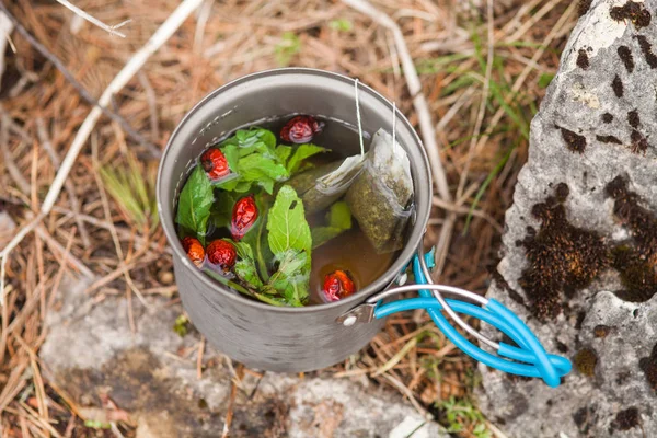 kamp bir tencerede yabani gül çilek ile bitkisel çay