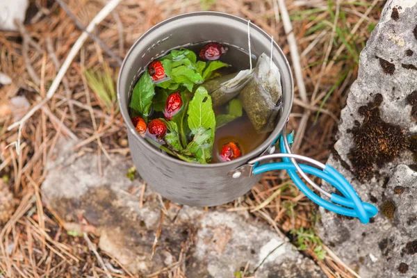 kamp bir tencerede yabani gül çilek ile bitkisel çay