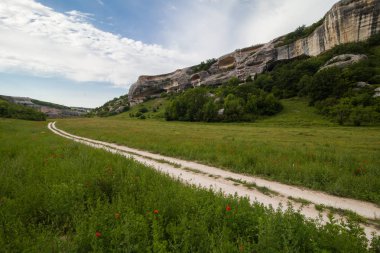 uzun otların arasında alanında toprak yol bulutlu gökyüzü altında arka planda taşlarla