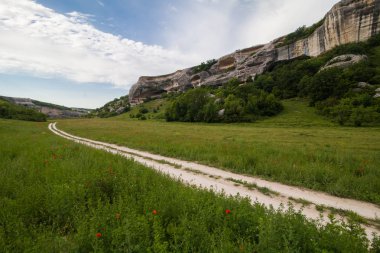 uzun otların arasında alanında toprak yol içinde belgili tanımlık geçmiş taşlarla
