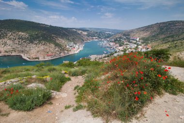 eğri deniz Bay güneşli gün ve şehrin çiçekli haşhaş ile noktalı tepeler arasında Üstten Görünüm