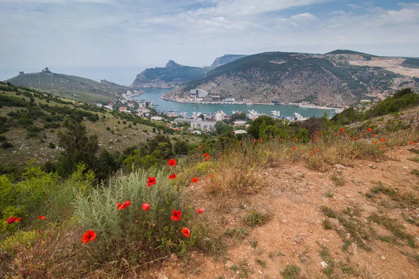 Bay eğri deniz ve şehir Kırım'çiçekli haşhaş ile noktalı tepeler arasında Üstten Görünüm