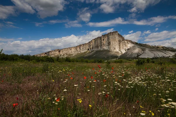 Bahar alan arka plan beyaz taşlarla bulutlu gökyüzü altında kırmızı ve beyaz kır çiçekleri