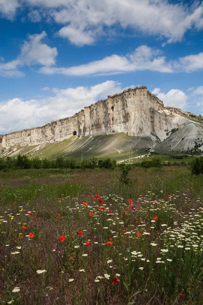 Champ Printanier Fleurs Sauvages Blanches Rouges Sous Ciel Nuageux Image En Vente