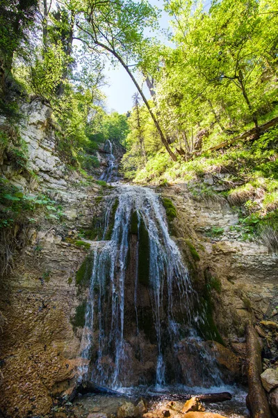 şelalelerin akan çağlayan gölgeli ormanlar arasında yer