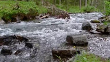 Bir dağ deresinde akan su