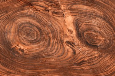 Ağaç, kesilen ahşap büyük bir güdük kesilmiş. Ahşap arka plan.