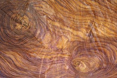 Ağaç, kesilen ahşap büyük bir güdük kesilmiş. Ahşap arka plan.