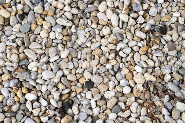 Pedras Marinhas Naturais Closeup Holiday Fundo — Fotografia de Stock