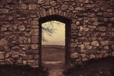 alt Avusturya Avrupa'nın Ortaçağ harabe