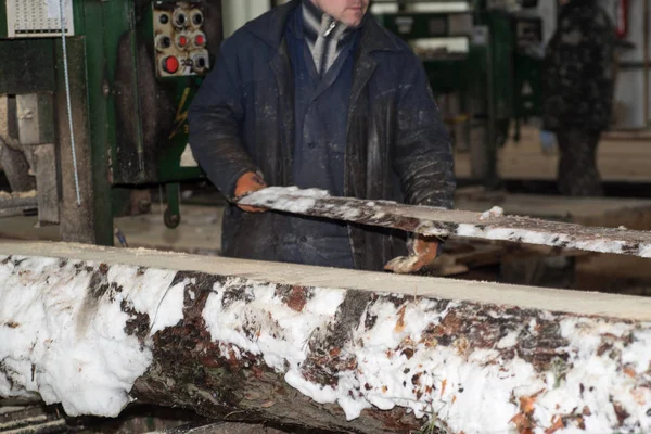 Styckning Loggar Styrelserna Bearbeta Ett Träd Vintern Träförädling — Stockfoto