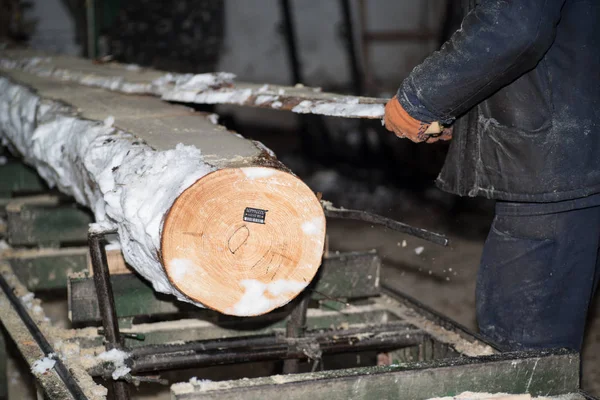 Cortando Troncos Las Tablas Proceso Invierno Árbol Procesamiento Madera — Foto de Stock