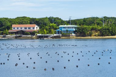 Okyanus, üretim ve yetiştirme inci okyanusta inci satırda. Peyzaj ve inci aqua ekimi Shima Japonya Tarım.