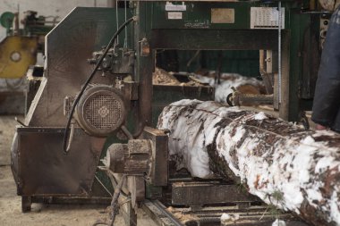 Kesme panoları günlüğe kaydeder. Kışın bir ağaç işlemek. Tahta işleme.