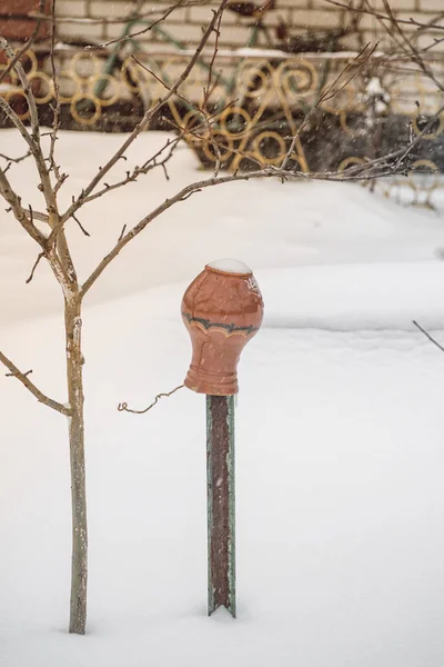 Pote Pendura Uma Árvore Inverno Paisagem Inverno — Fotografia de Stock