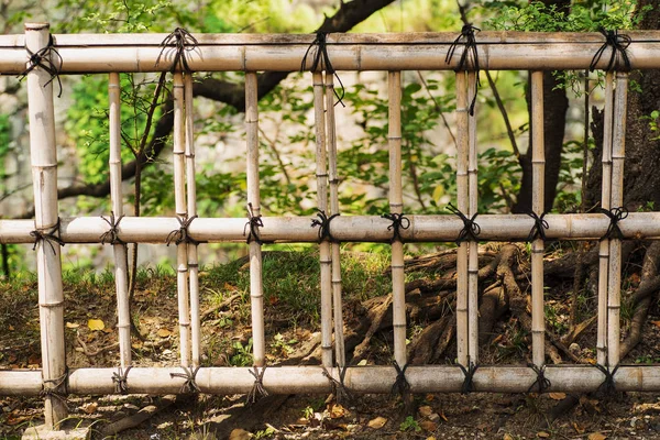 Recinzione Naturale Recinzione Steli Bambù Disidratato Vecchio Sfondo Texture Parete — Foto Stock
