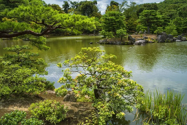 Japonya, yaz aylarında güzel Japon yeşil park