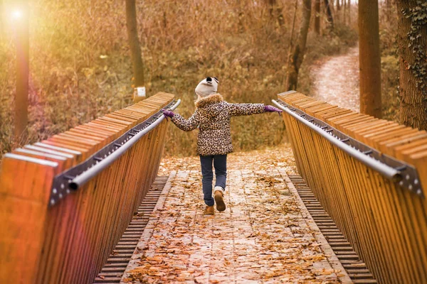 秋天的一天 穿着外套 头戴帽子的女孩走在一座木桥上 秋天的一天 一个女孩走过桥 秋天温暖的晴天 — 图库照片